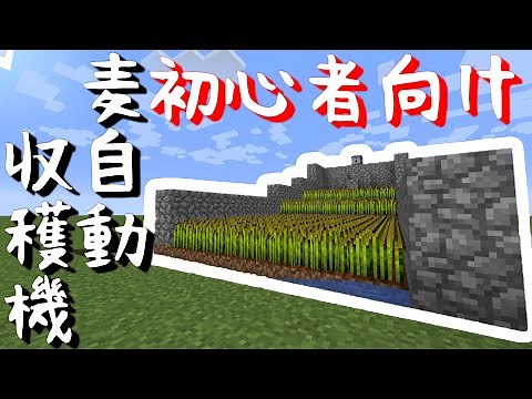 【マイクラ】自動小麦収穫機(水流式)の作り方！序盤でできる初心者向けです【マインクラフト】※概要欄に訂正あり