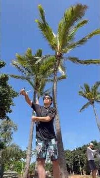 2026.03.29 - rope flow - simple beach flow