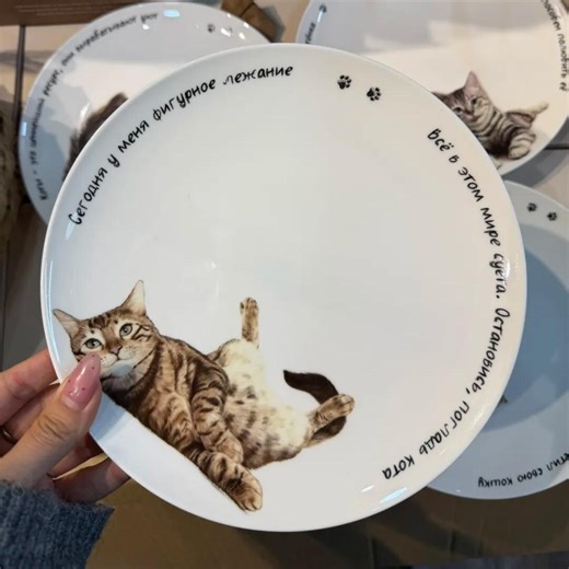 Cute Cat Bone China Plate, 8 Inch Cat Dessert Plate With Quote, Kitty Snack Plate Dinnerware, Gift for Cat Lovers - Etsy