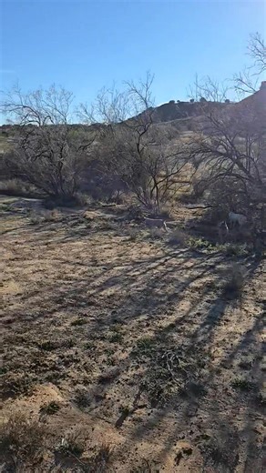 These guys love to go!!! | HT Heelers