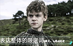 表达整体的限定词all, whole