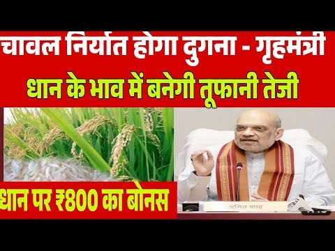 धान होगा 8000 चावल निर्यात को मिल गई मंजूरी किसान मालामाल ! Dhaan mandi bhav