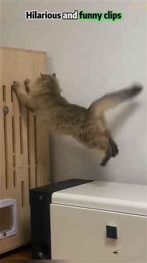 Por favor comparte con tus amigos #pov #herramientas #sketch #gracioso #actuación #historia