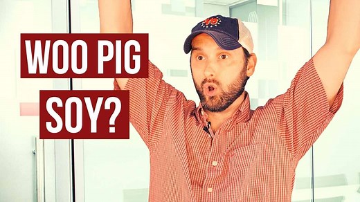 College football is almost here! Here's the almost true story of how Arkansas chose its mascot & nickname. Woo Pig! 😅 #woopigsooie #Arkansas #football #comedy | Josh Mancuso
