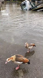 22K views · 269 reactions | The moment a skip lorry slipped into the River Thames - thankfully the driver was unhurt.  | BBC London | Facebook