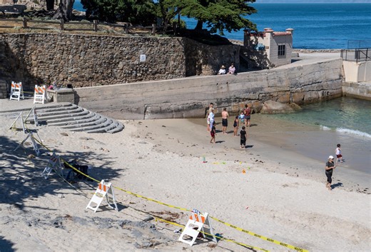 Body found off California coast is triathlete believed killed in shark attack