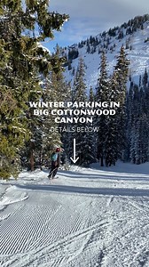 5.5K views · 35 reactions | Things look a little different up Big...