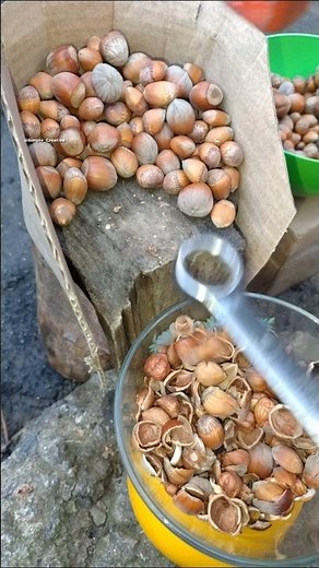 This is Simply Brilliant! The Best Way to Easily Peel Hazelnuts #useful #tips #tricks #lifehacks