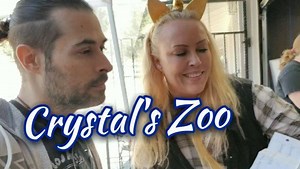 Crystal's Zoo Guinea Pig Love, from the heart! @crystalszoo319 https://www.facebook.com/CrystalsZoo319 Full Video: https://www.youtube.com/watch?v=wtbTMZnPmyE&list=PLdljnEoWqWF37o5wCTyw_MosSPl5Uu7ix&index=1 #guineapigs #guineapigsofinstagram #guineapigcare #cuy #laguineapigrecue #scottysanimals #animalrescue #realmenloveguineapigs #meerschweinchen #cavysavvy #cobaya #cobaye #guineapigsofig #guineapigsof_ig #guinea #pig #piggy #piggies #cavy #cavyslave #cavyslaveforever #babyguineapig #howtoholsa