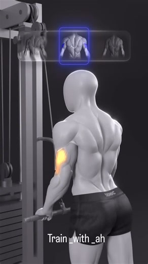 AH Fitness | Bodybuilding & Aerobics 🇱🇧 on Instagram: "1️⃣ Triceps Pushdown (Cable Pushdown) Main benefits: • Targets all 3 heads of the triceps (long, lateral, medial) • Great for building arm size and definition • Keeps constant tension on the muscle because of the cable • Very joint-friendly for elbows • Easy to control → good for beginners and advanced lifters Best for: • Overall triceps development • Finishing the workout (pump + burn) • Improving lockout strength for presses (bench, shou