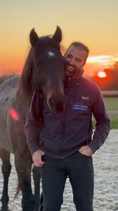 487K views · 93K reactions | You better shape up cause your horse need you  #libertyhorsemanship #libertyhorsetraining #horsemanship #horses #horseaddicted #mustanghorses #naturalhorsemanship #pferd#travailenliberte #equine #pferd #caballo #cheval #horseofinstagram #ethichorsedevelopment #educationducheval #equitationethologique | Ludovic Fournet- Ethic Horse Development | Facebook