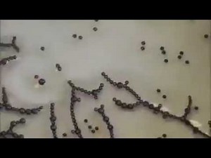 Graphene oxide 99.+% of you know what...