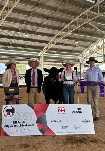 Winners are grinners! Check out the champion and reserve champions of the 2025 NH Foods Angus Youth Roundup cattle classes 🏆 Plus our Angus Reserve Beef Tank winners #ayroundup #angusyouth #angusaustralia