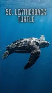 100 Incredible Sea Animals in 8K Ultra-Realism | Neon Marine Life Slideshow