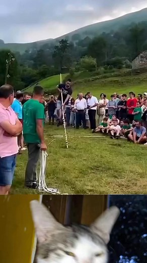 82K views · 650 reactions | dia jenius apa cvrang | Cartoon Old'd | Facebook