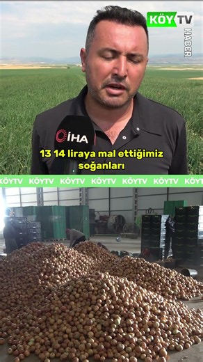 Onions Are Cheaper Than Tea! #village #agriculture #farmer