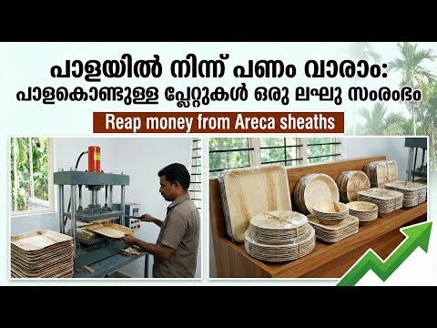 Reap money from Areca sheaths | Plates made of Areca sheaths are a simple business