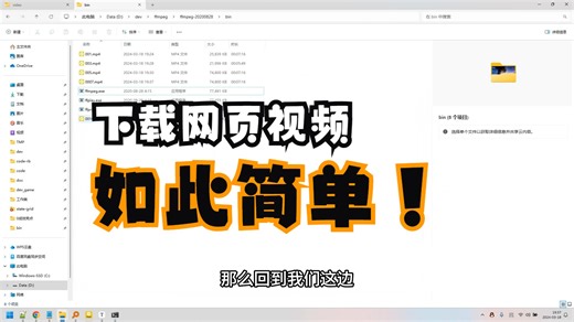 如何下载网页上的非MP4视频