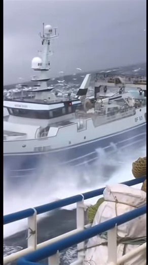 Oil and Gas___ #644🛢️💨🇳🇦 on Instagram: "Fishi vessels in rough sea🤯⚓️#reels #vessel #fishman #reelsinstagram #offshore"