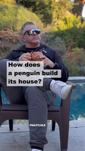 Ever wonder how a penguin builds its home? 🐧😂 | Matt Lisle
