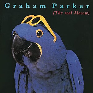 Graham Parker - The Real Macaw