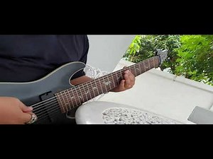 Schecter Damien Platinum 9 (Rhythm Guitar)