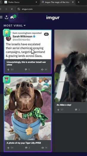 Imgur para evitar CORS en flutter #flutter #imagenes #tips