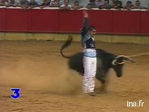 Course landaise : la Corne d'or à Nogaro