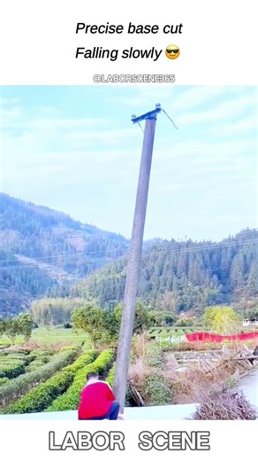 Safe Demolition of Old Power Pole in One Cut