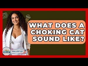 What Does A Choking Cat Sound Like? - Ask A Pet Vet