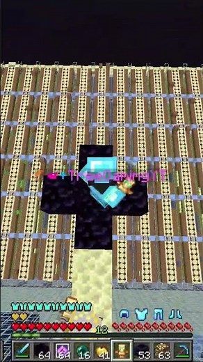 Biggest sugar cane farm on Donut SMP