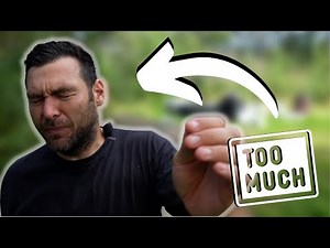 Rescuing an Aggressive Beehive and Moving It From an Allotment