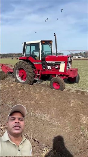 International 1086 👌 power full Tractor 🚜 #tractorpulling #agriculturalmachinery