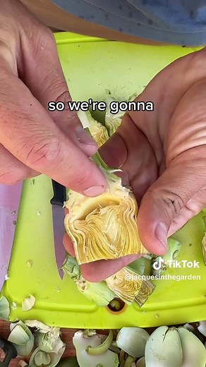 How to Cook Artichokes Whole for Delicious Results