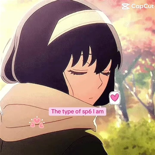 Exploring Typology: Understanding the Sp6 Type