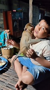 1.4K views · 23 reactions | #คนกับลิงกินข้าวนำกัน | Kongchai Noawaboot | Facebook