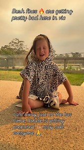 The weather, wind 💨 and the heat is causing some catastrophic bush fire 🔥 conditions and there are many raging across the state at the moment, I had to shoot up to Gladstone in central Queensland and now am almost home, Ashlee sent this to me when u was on the bus, be safe legends and keep a look out for critters they really struggle in this heat especially ring tailed possums we have had 8 calls about them today 🙏 | Josh Neille - The Wombat Guy