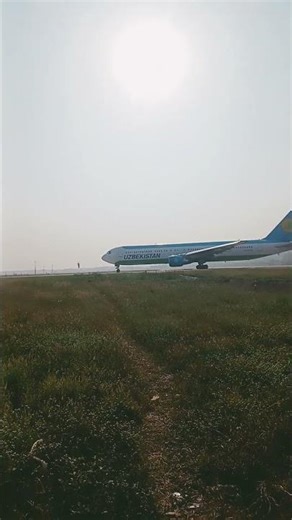 indigo flight landing in delhi #trending #shorts #viralshorts #airbus #boeing