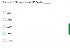 The default file extension of MS Excel is _... | Filo