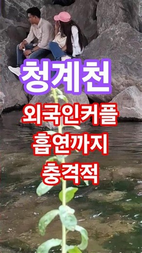Shocked by foreigners smoking at Cheonggyecheon Stream#Seoul#Travel#Healing#ForeignerReaction#Sho...