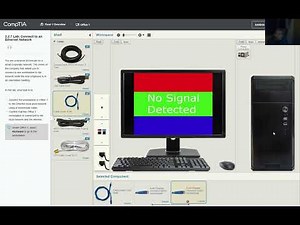 2 2 7 Lab Connect to an Ethernet Network