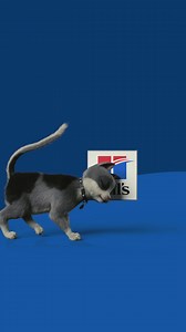 Millions of pets have lost weight with Hill’s — and so can yours! Shop Hill’s Science Diet weight foods at PetSmart. | PetSmart | Facebook