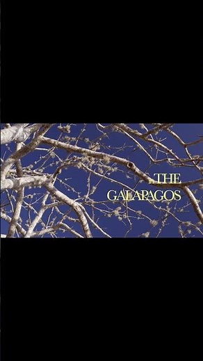 another world | glimpse of the galapagos | cinematic nature short