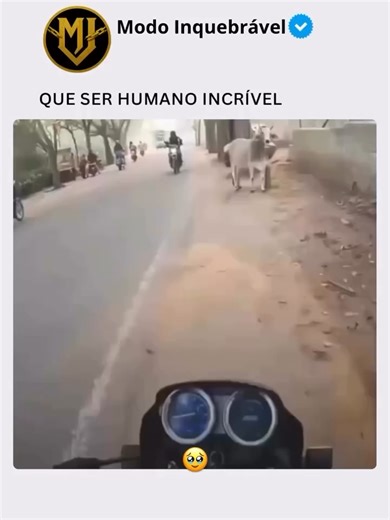 sig @modoinquebravel no instagram #reflexaodevida #foryuuuuuuuuuuuu #fyy #mente #foryu #coragemparamudar #foryoupagе #fory #motivaçao #fyyyy #instagram #coragem #rells #expectativa #page #visibilidade #vidareal #mentemilionaria #maturidade