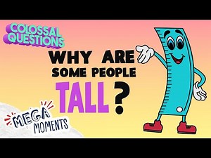 Why are some people so TALL? 🤨 | Colossal Questions 🧠 | Mega Moments