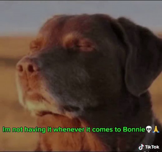 Im not having it💀🙏 #fypシ #recroom #horror #fnaf #xyzcba #bonniefnaf #ignited #ignitedbonnie #AjOnMeta #fyp @DaVeGames1111