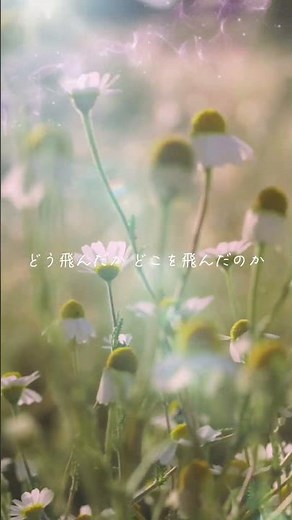 365日の紙飛行機 #歌詞動画 #歌詞付き #山本彩 #akb48