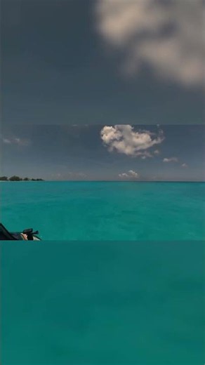 This water is actually real life 😮 #bahamas #oceanview #bimini