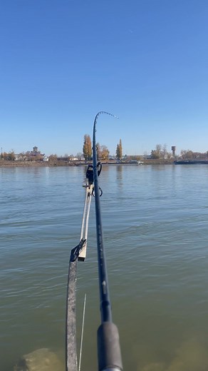 133K views · 2.2K reactions | Egy bitang jó márna kapás a Dunán!朗 #Duna #riverfishing #barbel #fishing #feederfishing | Bakó Péter Fishing | Facebook