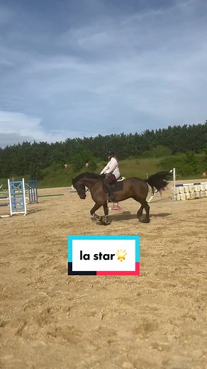 Narcisse Frison sur TikTok